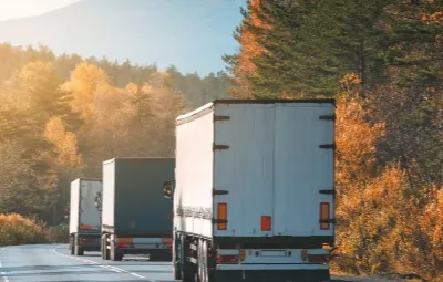 Antalya Topağacı | Klima Taşıma